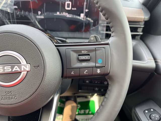 日産 セレナ ２．０ ハイウェイスターＶ R7年 (関東) 99