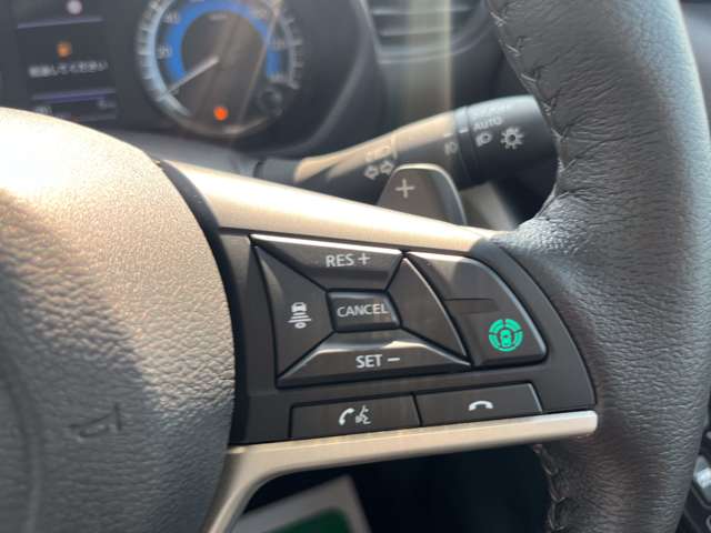 三菱 デリカ　ミニ ６６０ Ｔ プレミアム R7年 (関東) 99