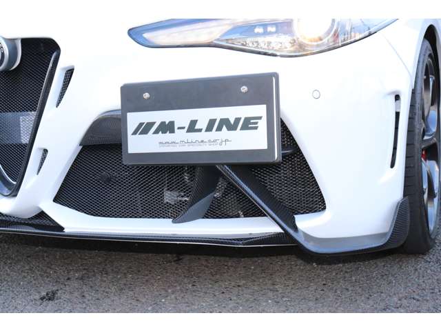アルファロメオ ジュリア ２．９ Ｖ６ ビターボ クアドリフォリオ R1年 (甲信越・北陸) 99