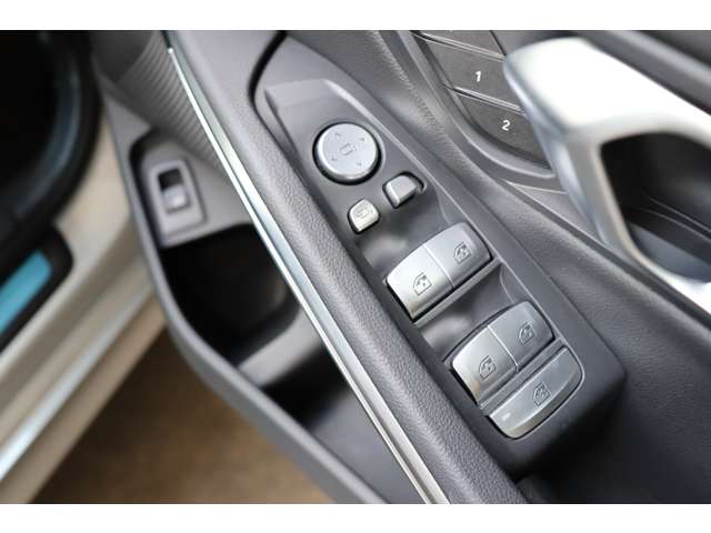 ＢＭＷ ３シリーズ ３１８Ｉ ４０ＴＨ アニバーサリー エディション R4年 (甲信越・北陸) 99