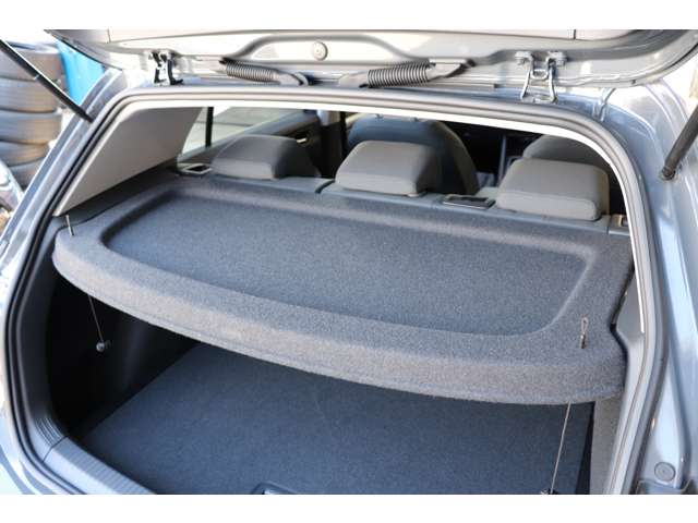 フォルクスワーゲン ゴルフ ｅＴＳＩ　アクティブ　プラチナム　エディション R5年 (甲信越・北陸) 99