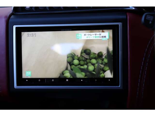 ロータス エヴォーラ ４００ ２プラス２シーター H29年 (甲信越・北陸) 99