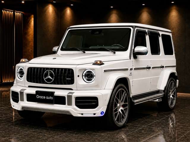 ＡＭＧ Ｇクラス Ｇ６３ ストロンガー ザン タイム エディション ４ＷＤ R2年 (関東) 99