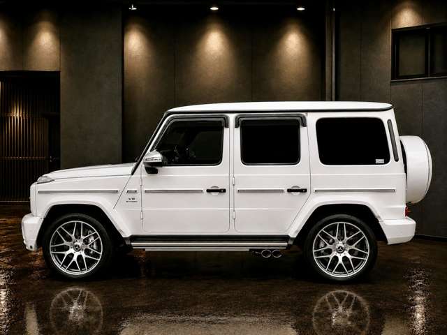 ＡＭＧ Ｇクラス Ｇ６３ ストロンガー ザン タイム エディション ４ＷＤ R2年 (関東) 99