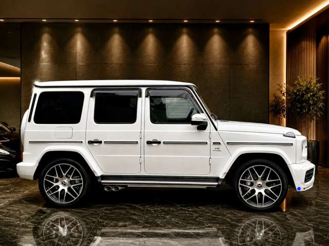 ＡＭＧ Ｇクラス Ｇ６３ ストロンガー ザン タイム エディション ４ＷＤ R2年 (関東) 99