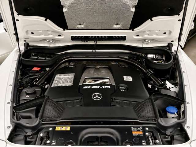 ＡＭＧ Ｇクラス Ｇ６３ ストロンガー ザン タイム エディション ４ＷＤ R2年 (関東) 99