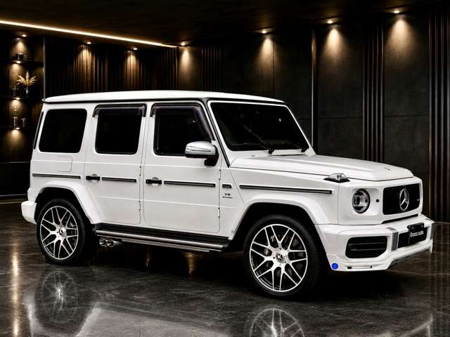 ＡＭＧ Ｇクラス Ｇ６３ ストロンガー ザン タイム エディション ４ＷＤ R2年 (関東) 99