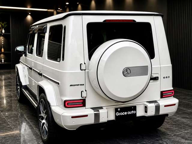 ＡＭＧ Ｇクラス Ｇ６３ ストロンガー ザン タイム エディション ４ＷＤ R2年 (関東) 99