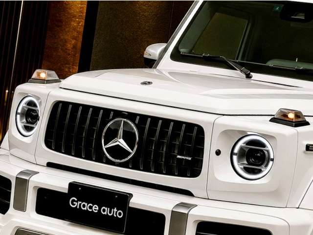 ＡＭＧ Ｇクラス Ｇ６３ ストロンガー ザン タイム エディション ４ＷＤ R2年 (関東) 99