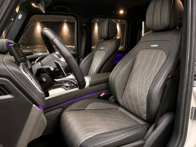 ＡＭＧ Ｇクラス Ｇ６３ ストロンガー ザン タイム エディション ４ＷＤ R2年 (関東) 99
