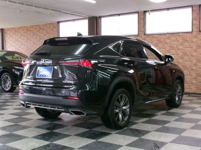 レクサス ＮＸ３００ ３００ Ｆスポーツ ４ＷＤ R1年 (東北) 99