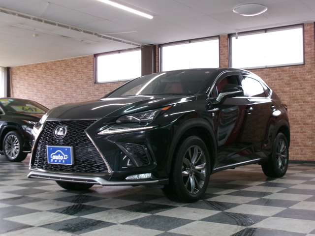 レクサス ＮＸ３００ ３００ Ｆスポーツ ４ＷＤ R1年 (東北) 99
