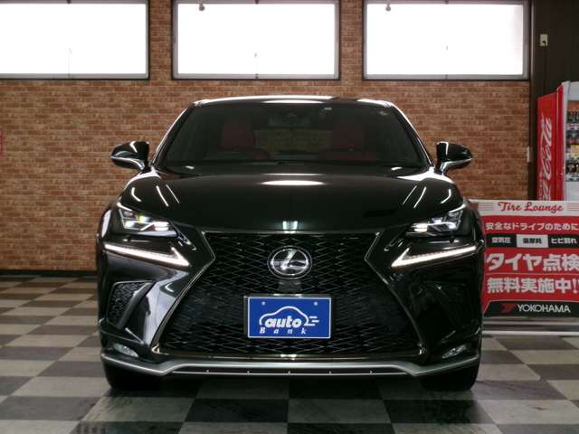 レクサス ＮＸ３００ ３００ Ｆスポーツ ４ＷＤ R1年 (東北) 99