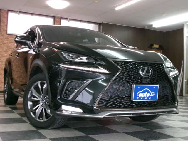 レクサス ＮＸ３００ ３００ Ｆスポーツ ４ＷＤ R1年 (東北) 99