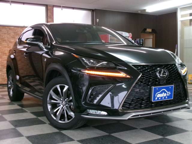 レクサス ＮＸ３００ ３００ Ｆスポーツ ４ＷＤ R1年 (東北) 99