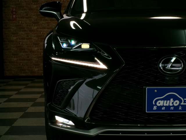 レクサス ＮＸ３００ ３００ Ｆスポーツ ４ＷＤ R1年 (東北) 99