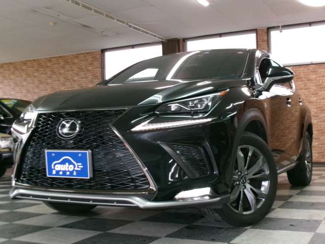 レクサス ＮＸ３００ ３００ Ｆスポーツ ４ＷＤ R1年 (東北) 99