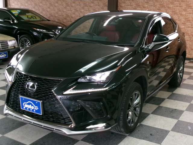 レクサス ＮＸ３００ ３００ Ｆスポーツ ４ＷＤ R1年 (東北) 99