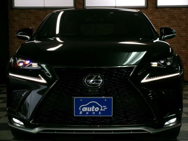 レクサス ＮＸ３００ ３００ Ｆスポーツ ４ＷＤ R1年 (東北) 99