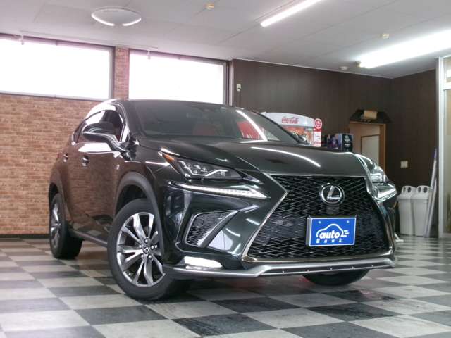 レクサス ＮＸ３００ ３００ Ｆスポーツ ４ＷＤ R1年 (東北) 99