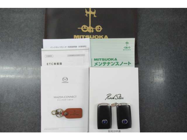 光岡自動車 ロックスター １．５ Ｓ スペシャル パッケージ R2年 (東北) 99