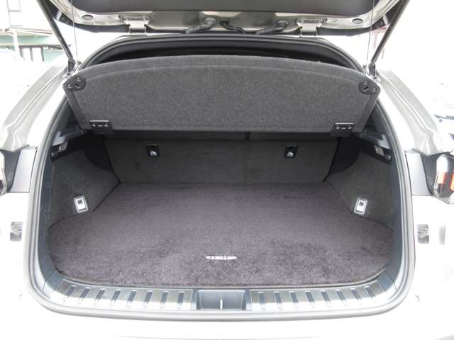レクサス ＮＸ３００ｈ ３００Ｈ Ｆスポーツ ４ＷＤ H28年 () 99