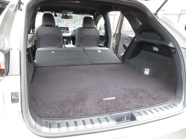 レクサス ＮＸ３００ｈ ３００Ｈ Ｆスポーツ ４ＷＤ H28年 () 99