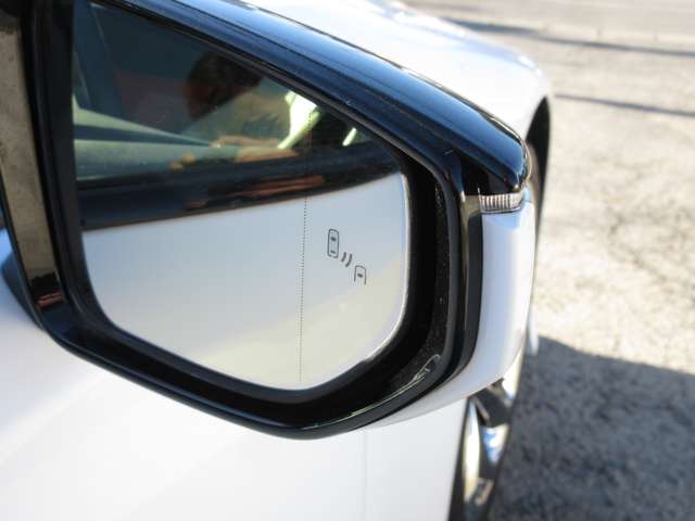 レクサス ＬＣ５００ Ｌパッケージ H29年 () 99