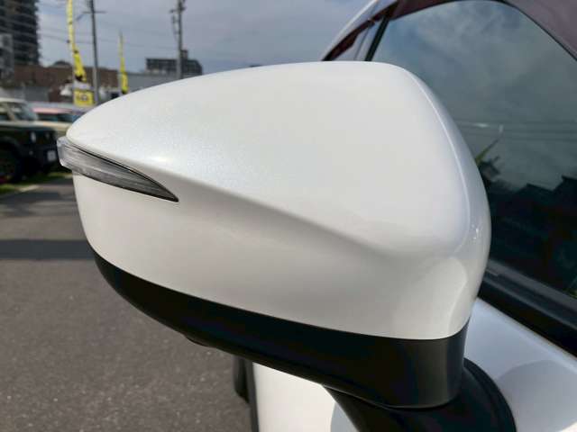 マツダ ＣＸ−３ ２．０ ２０Ｓ プロアクティブ R1年 (九州・沖縄) 99