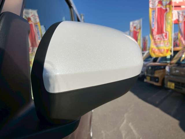 ダイハツ ムーヴ　キャンバス ６６０ ストライプス Ｘ R7年 (九州・沖縄) 99