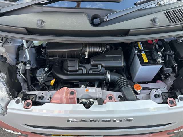 ダイハツ ムーヴ　キャンバス ６６０ ストライプス Ｇ R7年 (九州・沖縄) 99