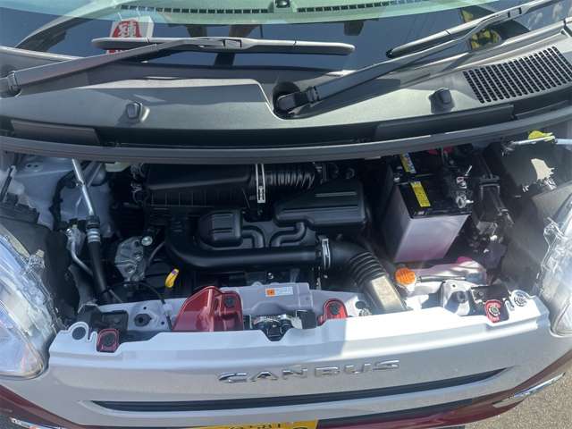 ダイハツ ムーヴ　キャンバス ６６０ ストライプス Ｇ R7年 (九州・沖縄) 99