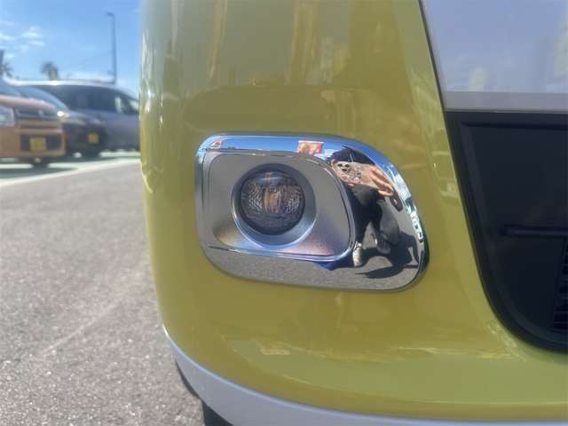 ダイハツ ムーヴ　キャンバス ６６０ ストライプス Ｇ R7年 (九州・沖縄) 99