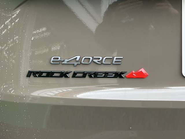 日産 エクストレイル １．５ ロック クリーク Ｅ－４ＯＲＣＥ ４ＷＤ R8年 (九州・沖縄) 99