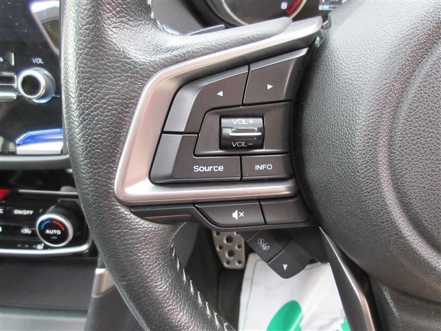 スバル フォレスター ２．５ プレミアム ４ＷＤ H30年 (関東) 99