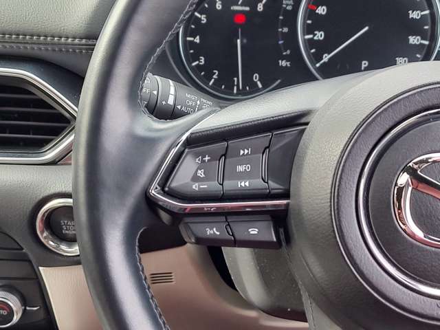 マツダ ＣＸ−８ ２．５ ２５Ｓ １００周年 特別記念車 ４ＷＤ R3年 () 99