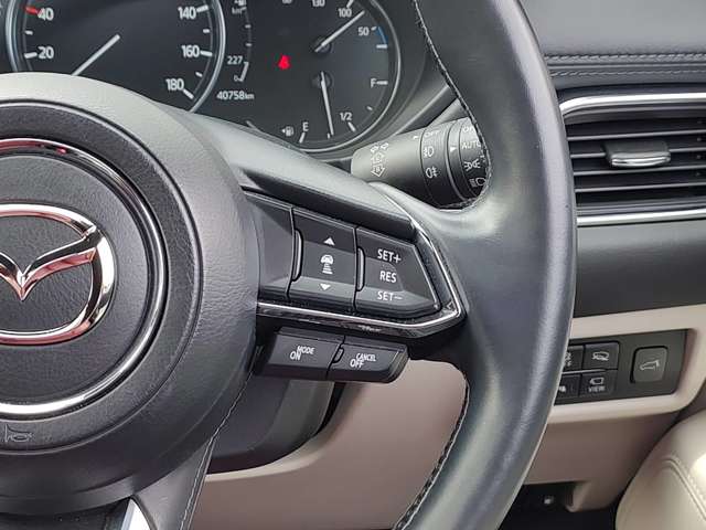 マツダ ＣＸ−８ ２．５ ２５Ｓ １００周年 特別記念車 ４ＷＤ R3年 () 99