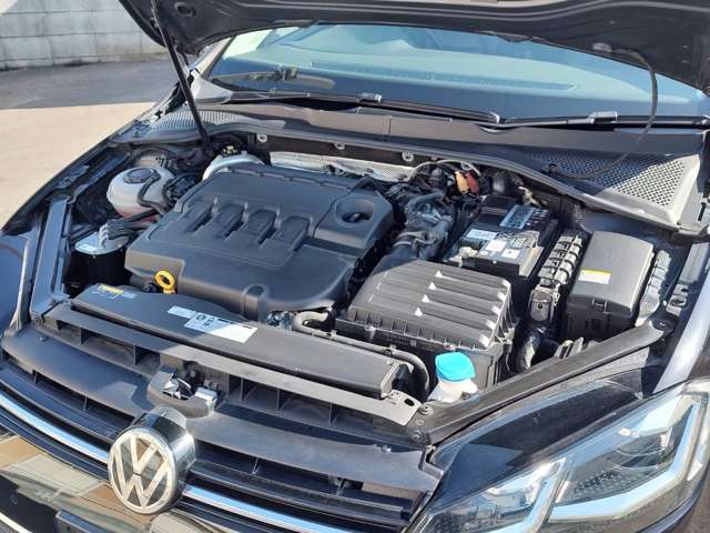 フォルクスワーゲン ゴルフ ＴＤＩ ハイライン マイスター ディーゼルターボ R2年 () 99