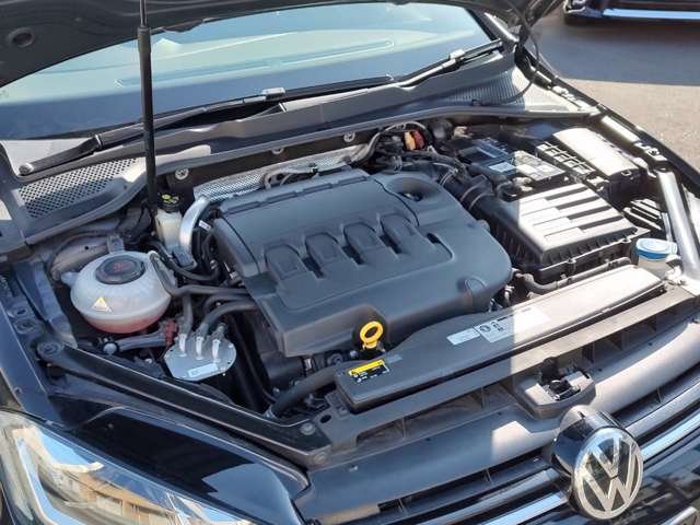 フォルクスワーゲン ゴルフ ＴＤＩ ハイライン マイスター ディーゼルターボ R2年 () 99