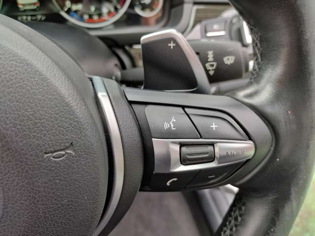 ＢＭＷ ５シリーズ ５２３Ｄ Ｍスポーツ ディーゼルターボ H26年 (近畿) 99