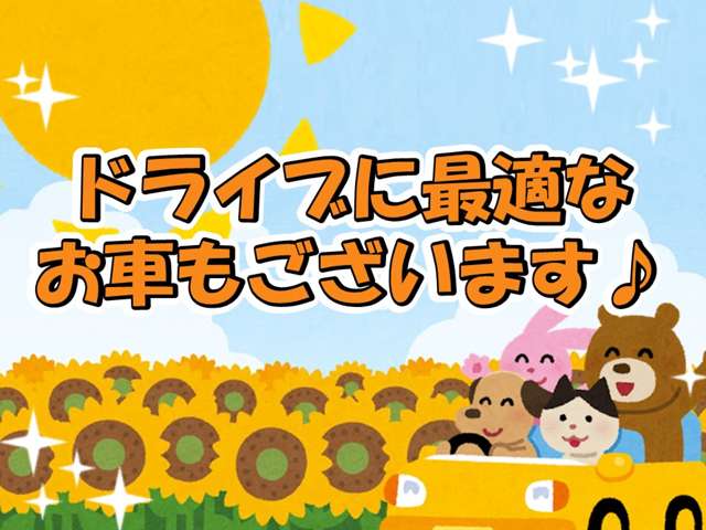 フォルクスワーゲン ポロ アクティブ　ブルーモーションテクノロジー H25年 (東北) 99