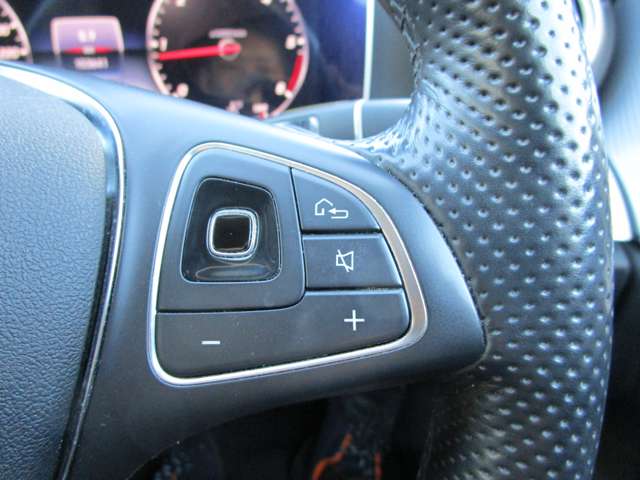 メルセデスベンツ Ｅクラスオールテレイン Ｅ２２０Ｄ ４マチック ディーゼルターボ ４ＷＤ H30年 (北海道) 99