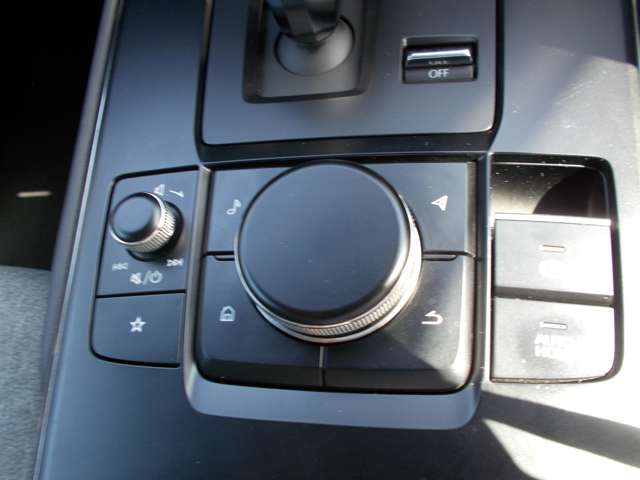 マツダ ＭＸ−３０ ２．０ R4年 () 99
