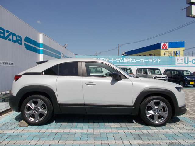 マツダ ＭＸ−３０ ２．０ R3年 () 99