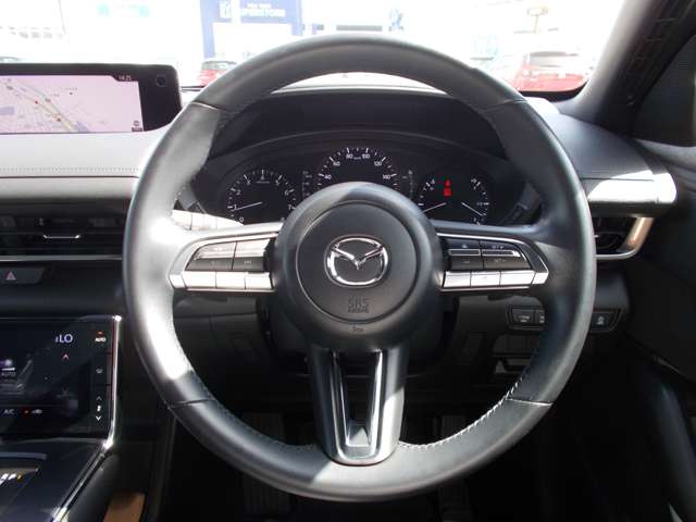 マツダ ＭＸ−３０ ２．０ R3年 () 99