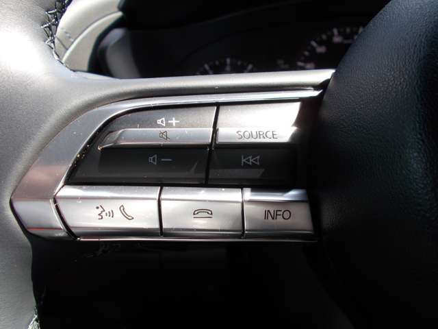 マツダ ＭＸ−３０ ２．０ R3年 () 99