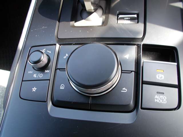 マツダ ＭＸ−３０ ２．０ R3年 () 99