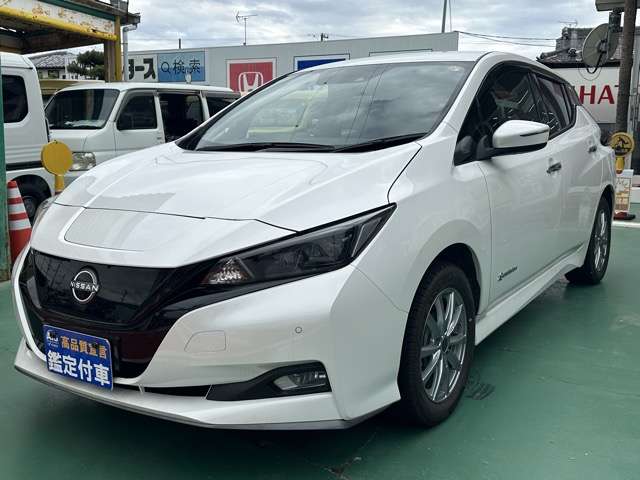 日産 リーフ ｅ＋　Ｘ R6年 (東海) 99