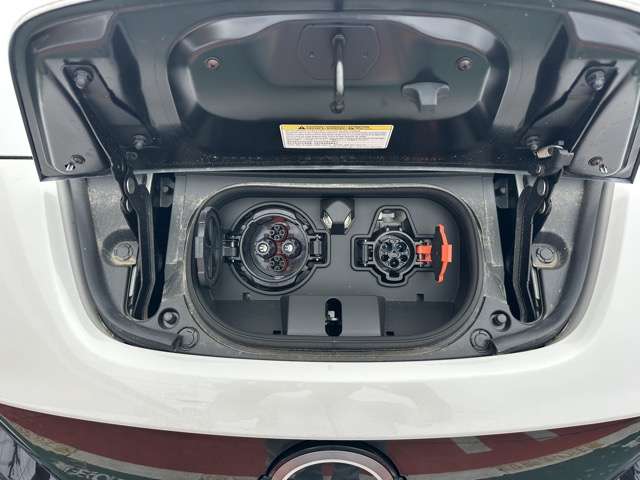 日産 リーフ ｅ＋　Ｘ R6年 (東海) 99