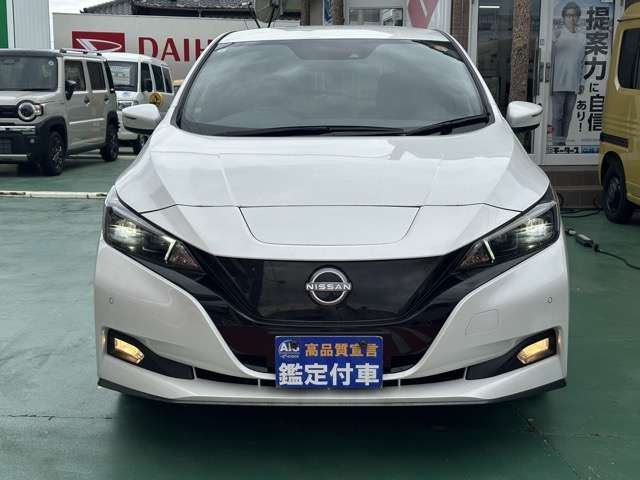 日産 リーフ ｅ＋　Ｘ R6年 (東海) 99
